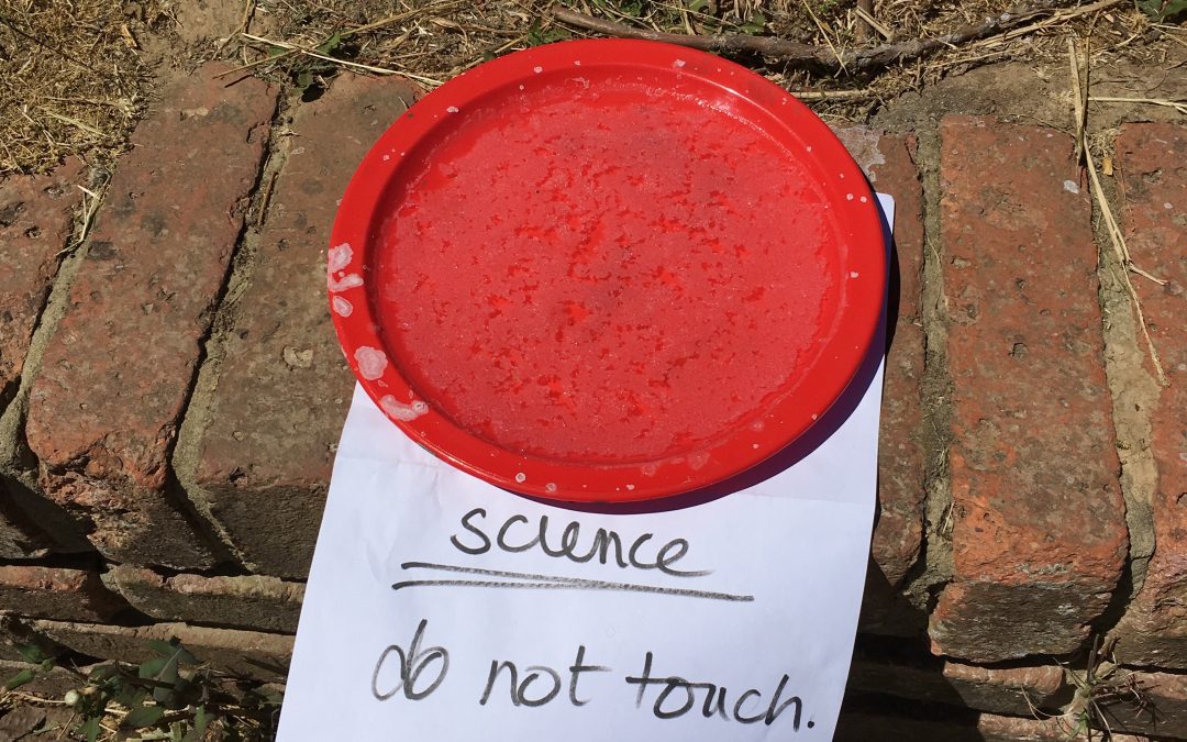 Science Department Re-focus?