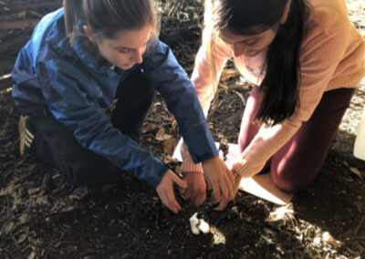 students working together
