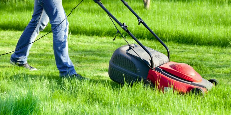 Shared Lawnmowers