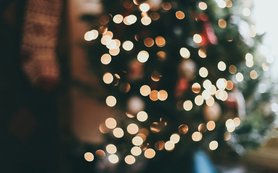 Partnerships reading recommendations for Christmas 🎄
